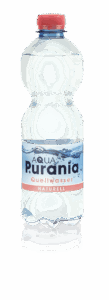 Purania Quellwasser Naturell 0,5 l